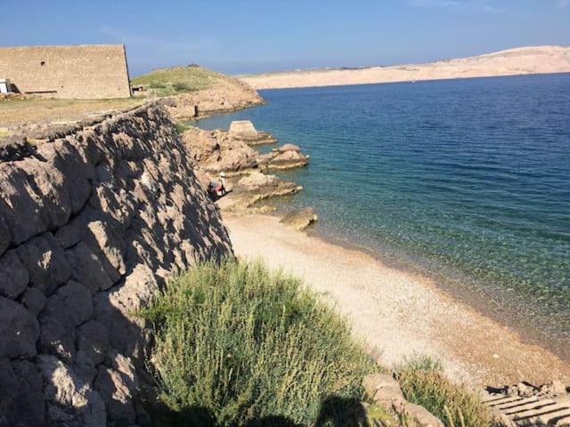 Wil Vannese Stinica Bagian luar foto
