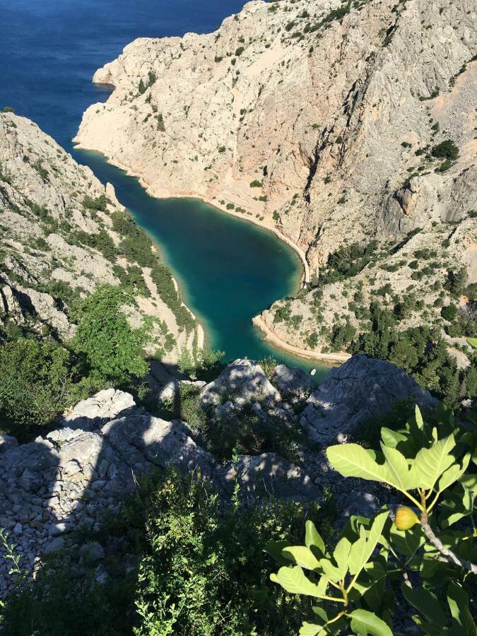Wil Vannese Stinica Bagian luar foto