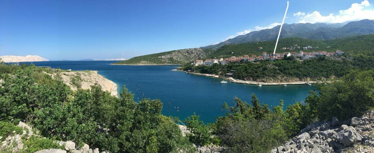 Wil Vannese Stinica Bagian luar foto
