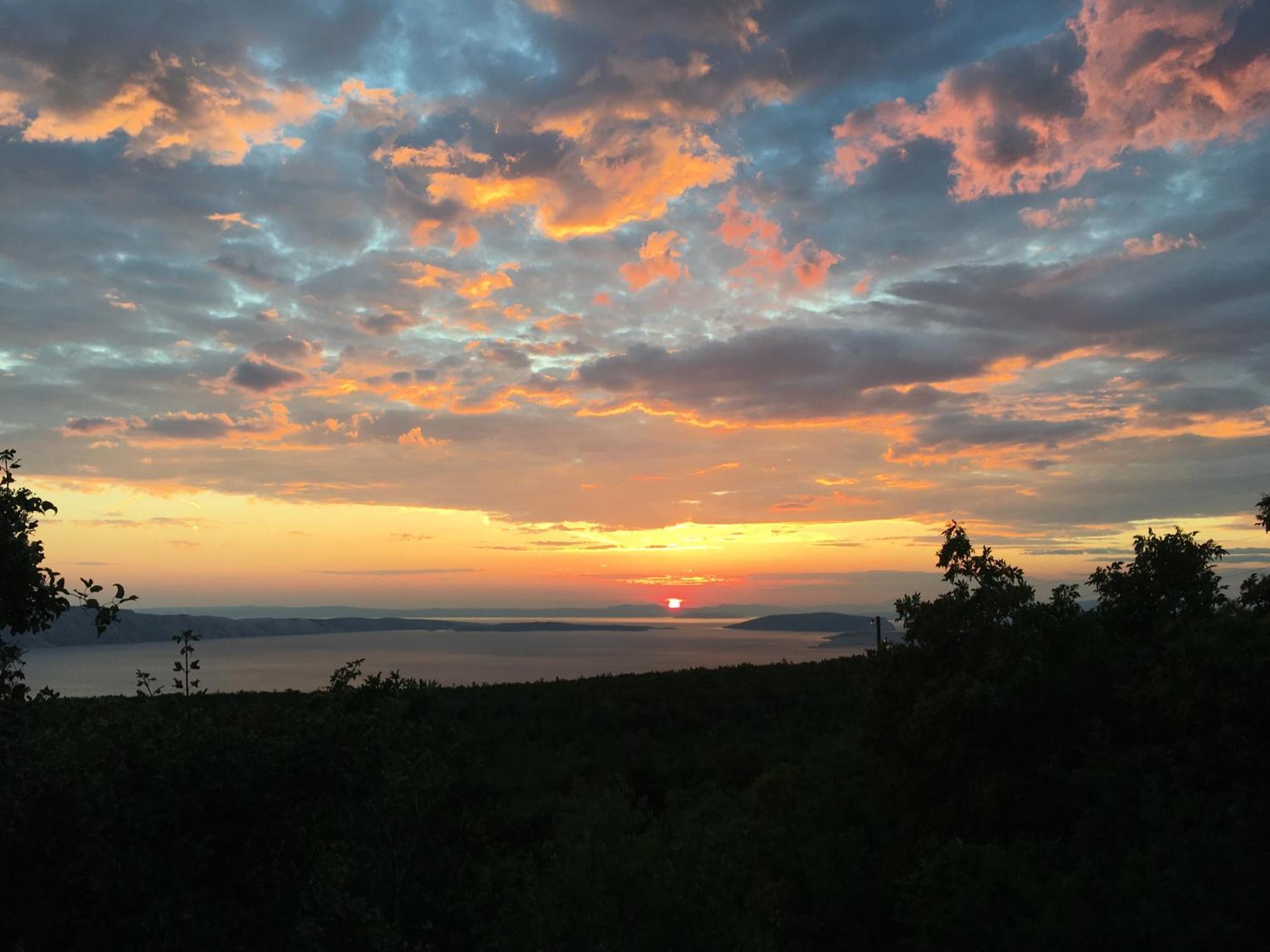 Wil Vannese Stinica Bagian luar foto