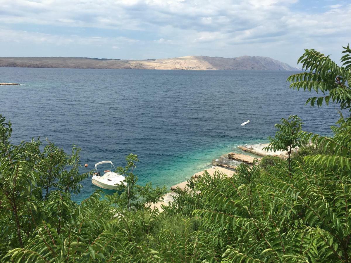 Wil Vannese Stinica Bagian luar foto