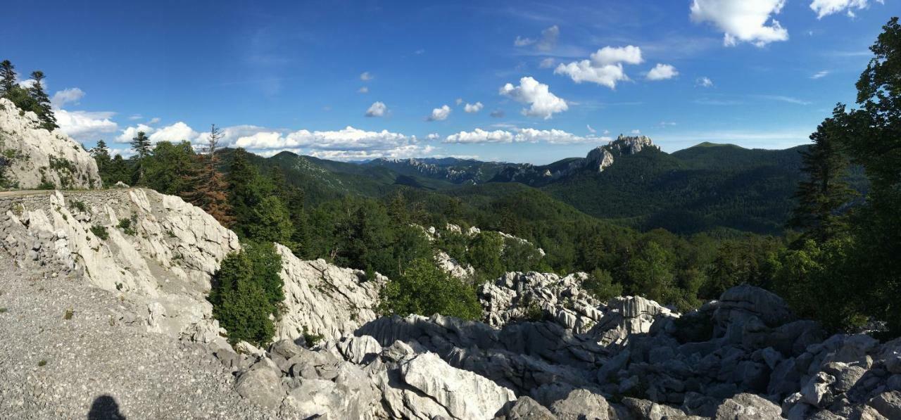 Wil Vannese Stinica Bagian luar foto